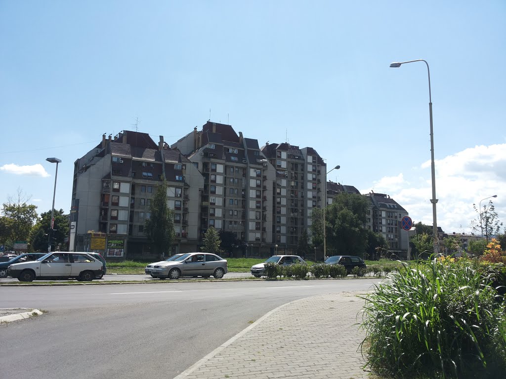 Dragoslava Srejovića 31