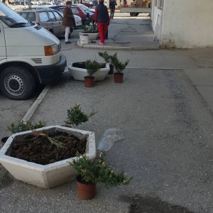 Prolećni radovi u sred zime ispred zgrade u Vojislava Kalanovića 2