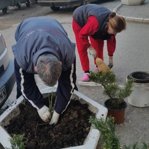 Prolećni radovi u sred zime ispred zgrade u Vojislava Kalanovića 2