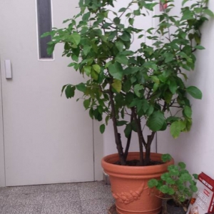 Poseta novom članu Udruženja