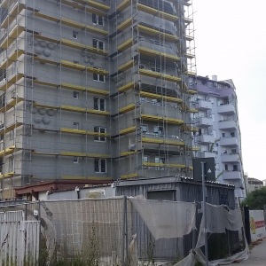 Šta raste pored ’’Šljive’’ ?