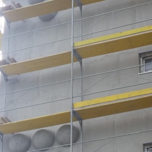 Šta raste pored ’’Šljive’’ ?