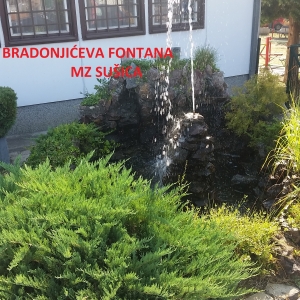 Fontane želja ili željni fontana