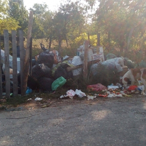 Lužnice na +40