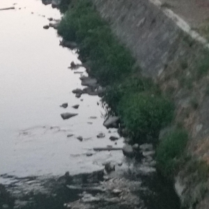 Da li neko brine o koritu Lepenice?