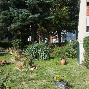 Mala zelena oaza u samom centru grada