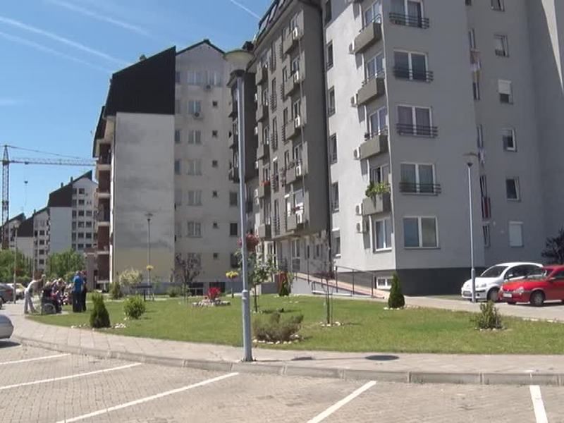 Aktivnosti stanara zgrade 1d u ulici Spasenije Cane Babović